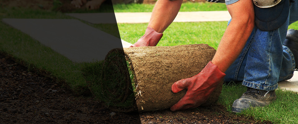 Coplay Landscapers